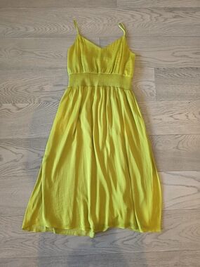 Naked Zebra Lime Spaghetti-Strap Maxi Dress